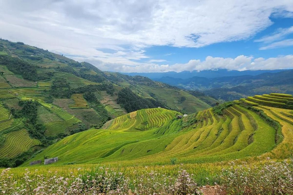 Mu Cang Chai Tour 3 Days - photo 21